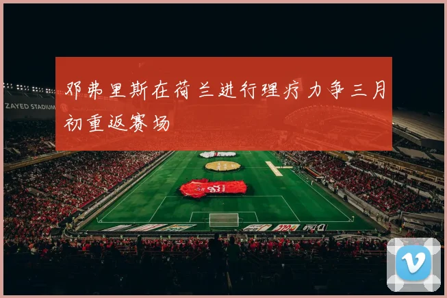 邓弗里斯在荷兰进行理疗力争三月初重返赛场